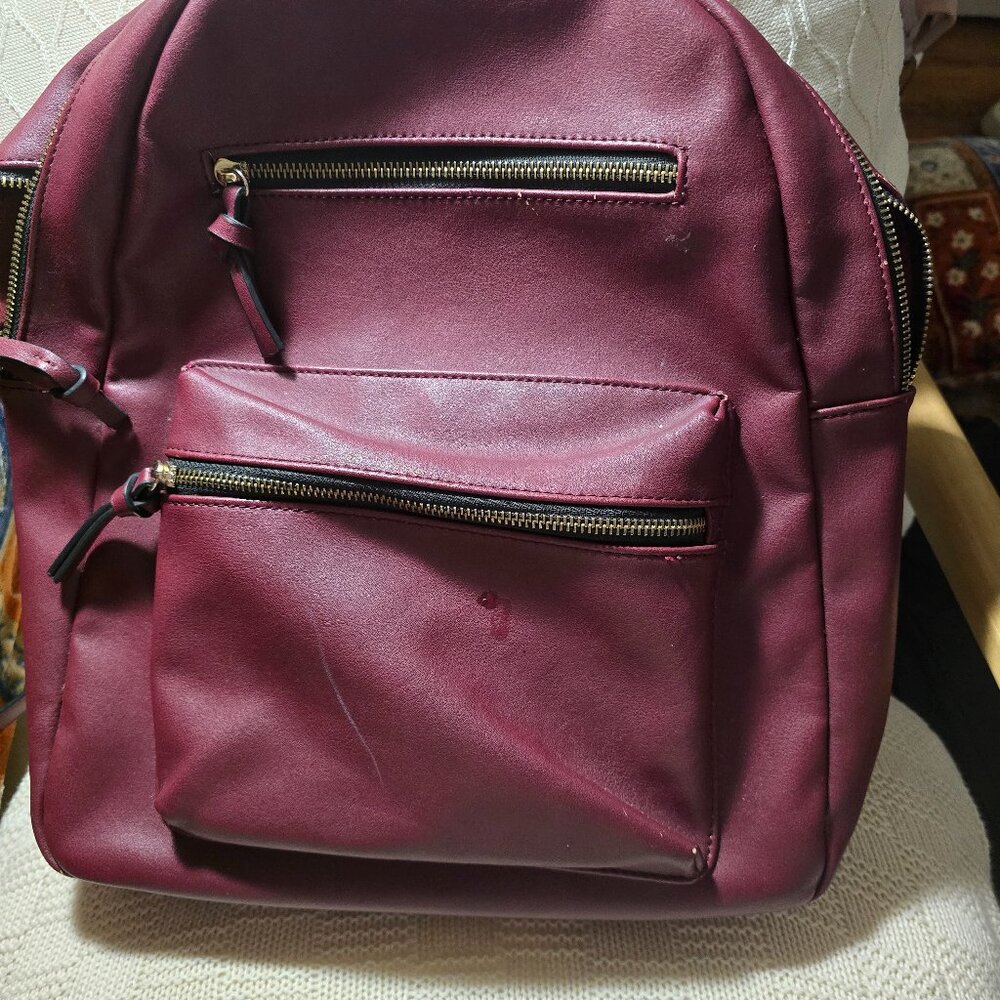 Rich Maroon Vegan Leather bag
